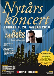 Nytårskoncert i Skagen